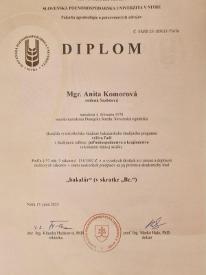 diplom any komorová